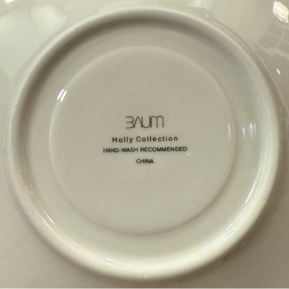Baum Bros Holly Collection 20pc Dinnerware Set- 4 Complete 5pc Place Settings - Picture 12 of 12